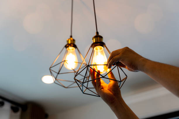 Best Outdoor Lighting Installation  in Ben Avon, SC